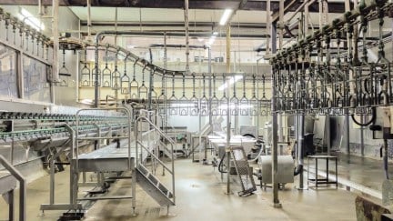 Empty butchering workshop poultry with overhead conveyor. Poultry processing plant line. Production of chicken meat.