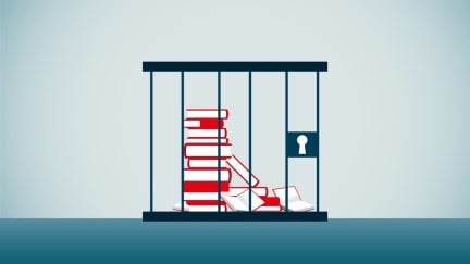 A stack of books locked up in a jail cell