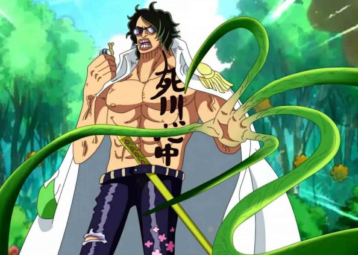 Zushi Zushi no Mi Devil Fruit in One Piece