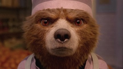 Paddington giving a hard stare (StudioCanal)