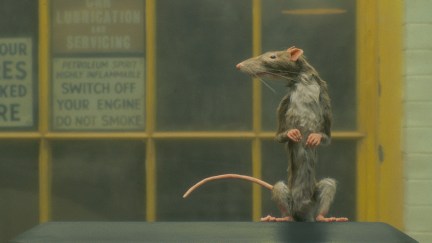 The Ratcatcher. Netflix ©2023