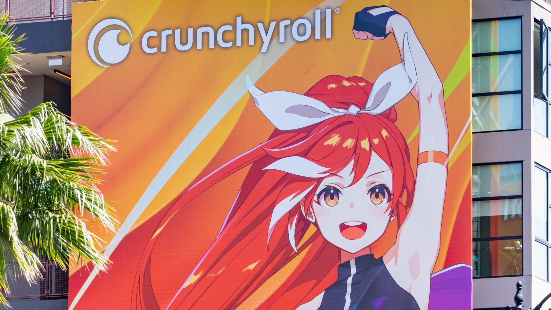 It will not by ANY means let me get this with any card I put in to pay : r/ Crunchyroll