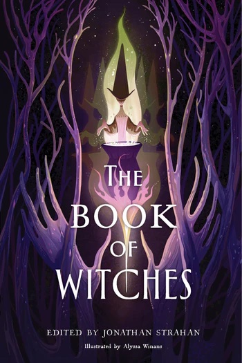 Cover of The Book of Witches.