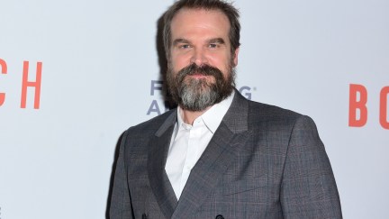 Image of David Harbour in front of a step and repeat with the logos for BoxLunch and Feeding America on it. He is a white man with brown hair and a salt-and-pepper beard. He's wearing a grey suit with a white buttondown and smiling at the camera.