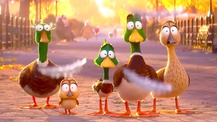 A family of animated mallard ducks from 