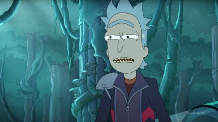 Rick Prime, an animated older white man with gray hair stands in a forest in 'Rick and Morty.'