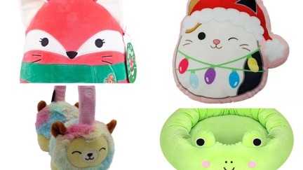 The Christmas Fifi Fox Squishmallow, Cam the cat pillow, Leonard the Lion headphones, and Frog pet bed