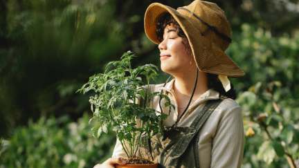 A woman in a floppy straw hat smiles with her eyes closed, holding a potted tomato plant. Trees are visible behind her.