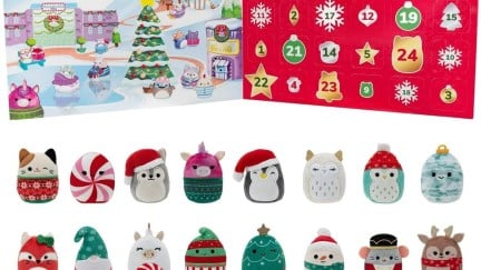 Clipped image of the Squishville advent calendar promotional picture. An advent calendar with a christmas scene over a selection of mini Squishmallows.