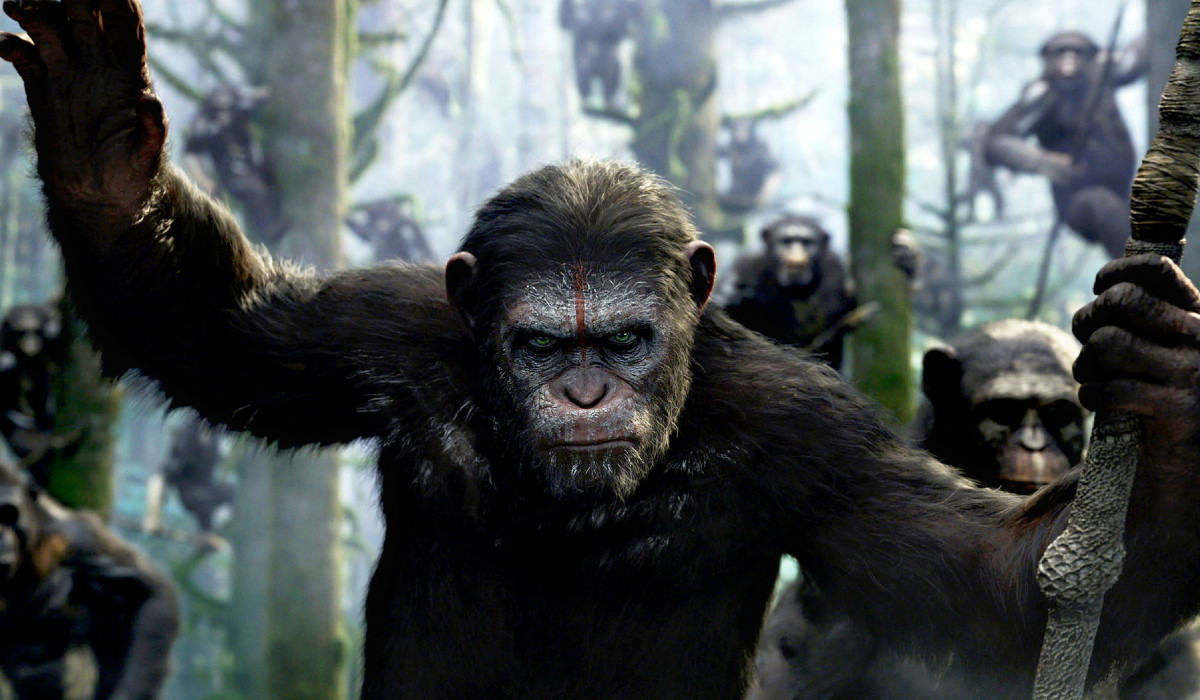Streanmig Zoo Movies Porno - Are 'Planet Of The Apes' Movies Streaming? Here's Where to Find the 'Planet  of the Apes FIlms' Online | The Mary Sue