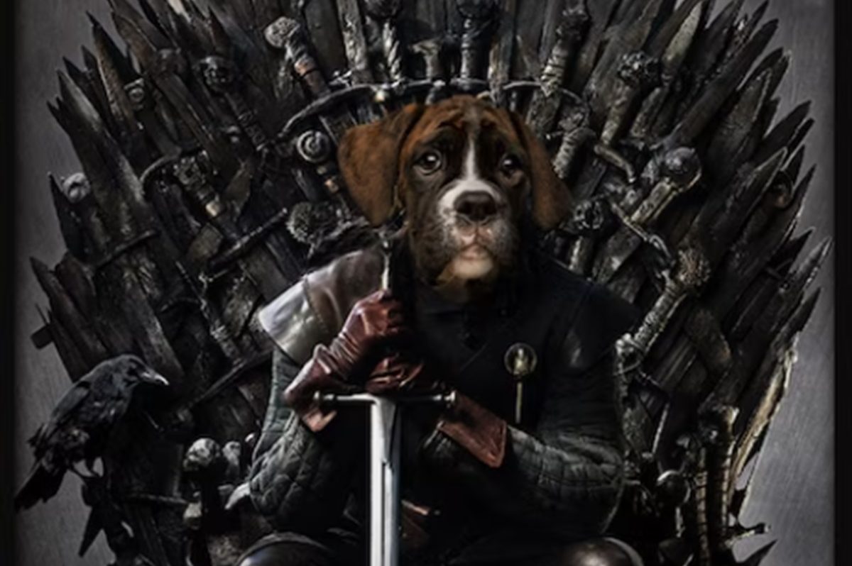 Game of Thrones iron throne with dog sitting on it