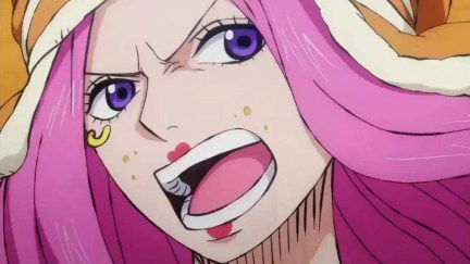 Jewelry Bonney in the One Piece anime