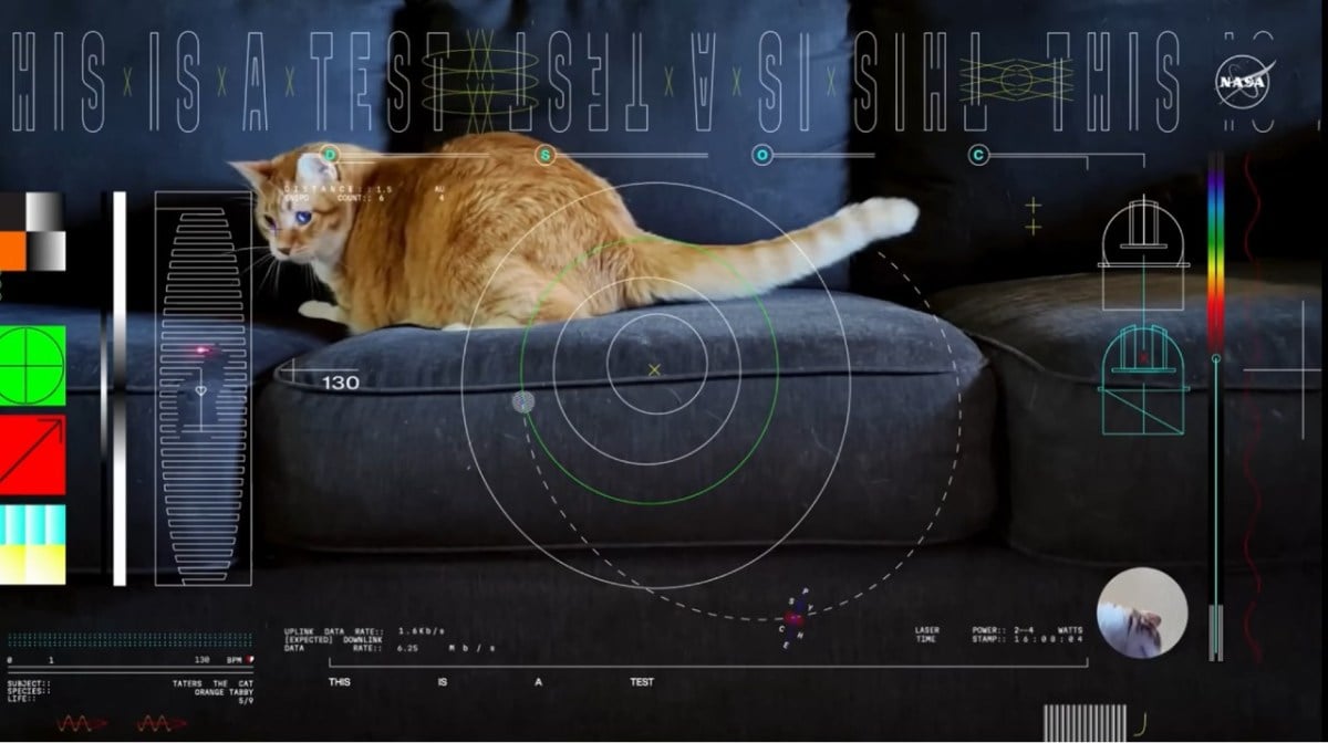 Gatto arancione che insegue il laser sul divano con grafica artistica sovrapposta all'immagine.