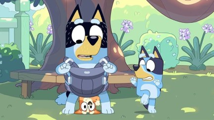 bandit, bingo and bluey from bluey