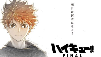 Haikyu FINAL featuring Hinata Shoyo