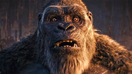 Kong in Godzilla x Kong: The New Empire