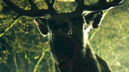 A monstrous Bambi roars in the forest.