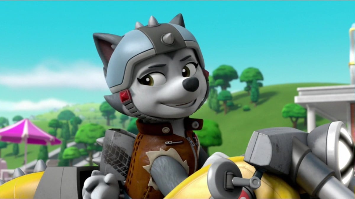 Gasket from "Paw Patrol"