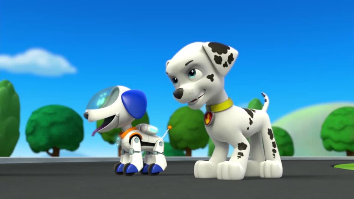 Aaron Judge's 'Paw Patrol' episode, explained | The Mary Sue