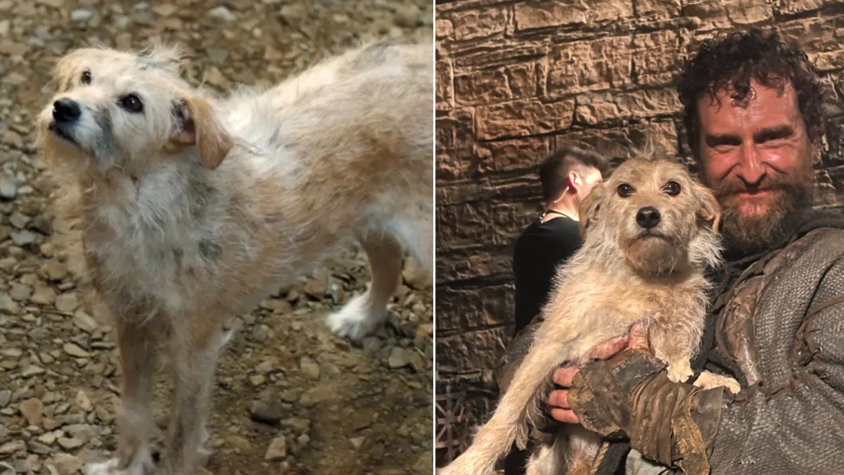 Bobby the dog with actor Mark Stobbart (Cheese) from House of the Dragon