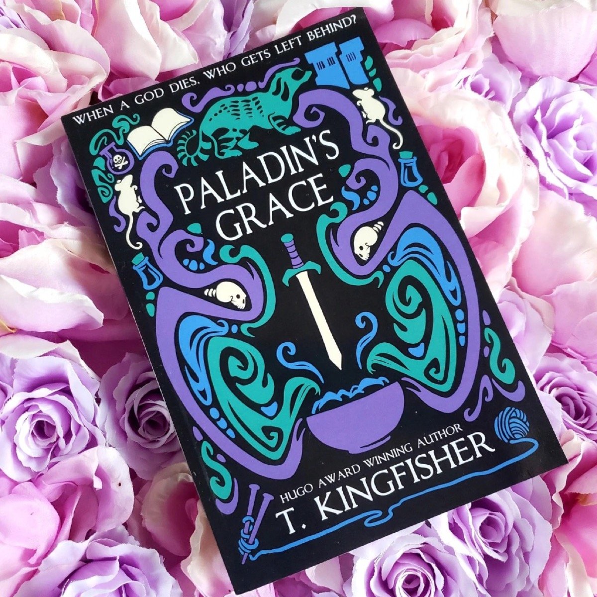 The novel Paladin's Grace