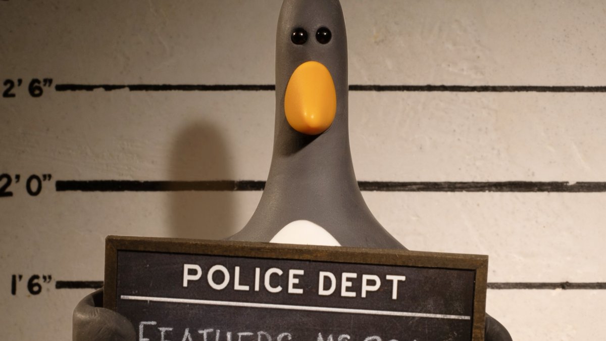 Feathers the penguin having his mugshot taken