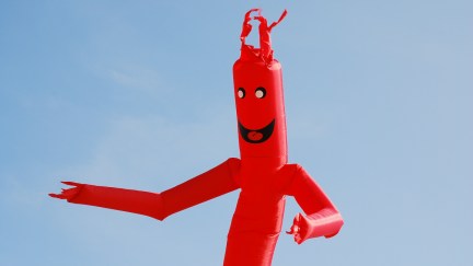 Generic Wacky Waving Inflatable Arm Flailing Tube Man.