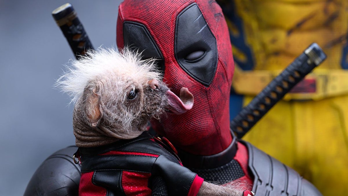 Deadpool holding Dogpool in Deadpool & Wolverine