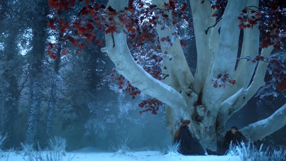 Sansa and Bran Stark sit under the great weirwood tree in their home of Winterfell