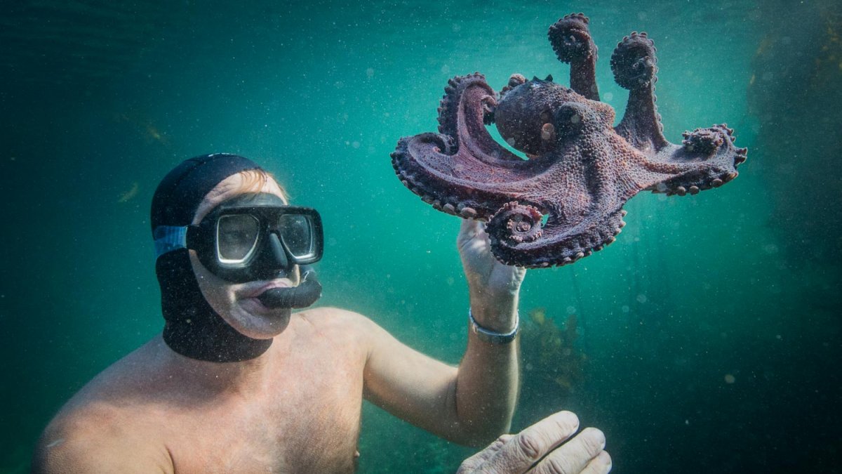 Craig Foster and the octopus