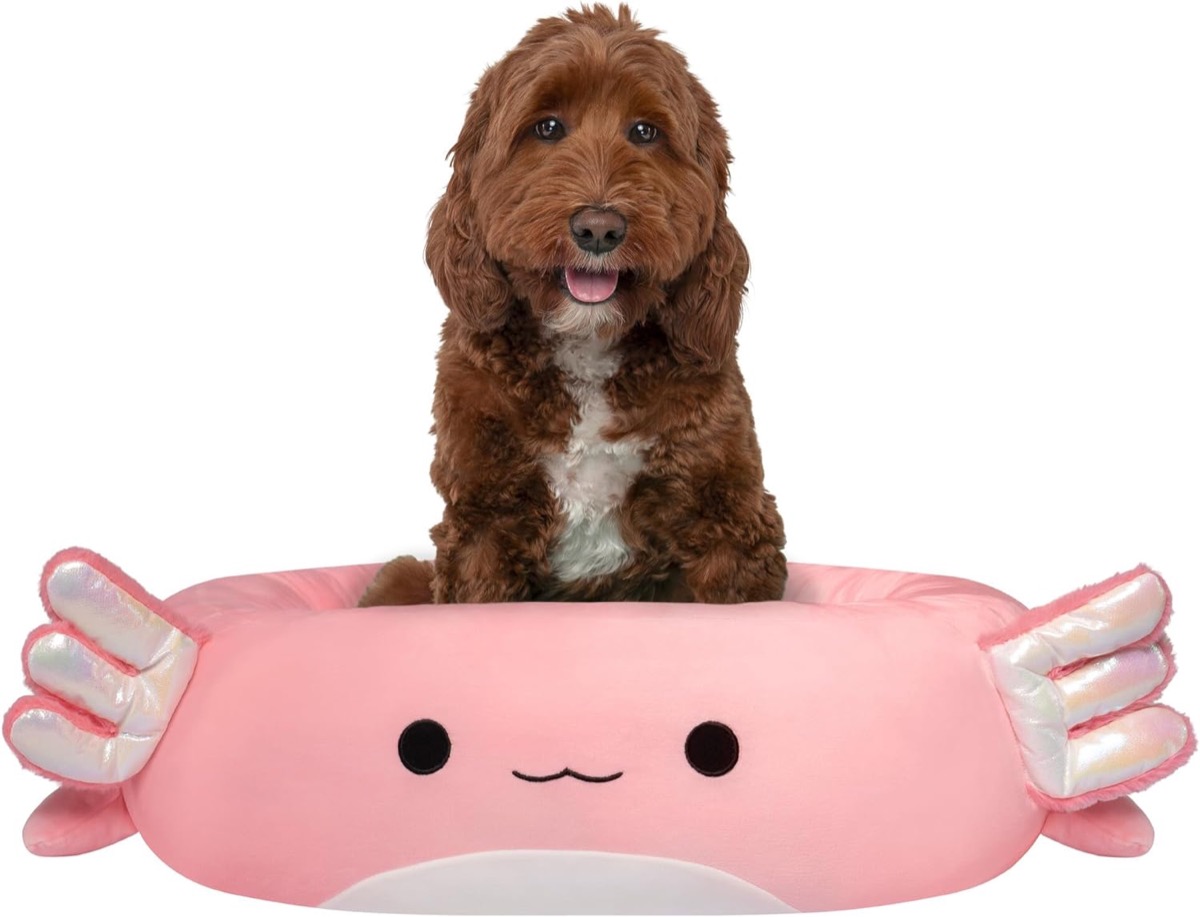 A dog sits in an Archie The Axolotl Pet Bed