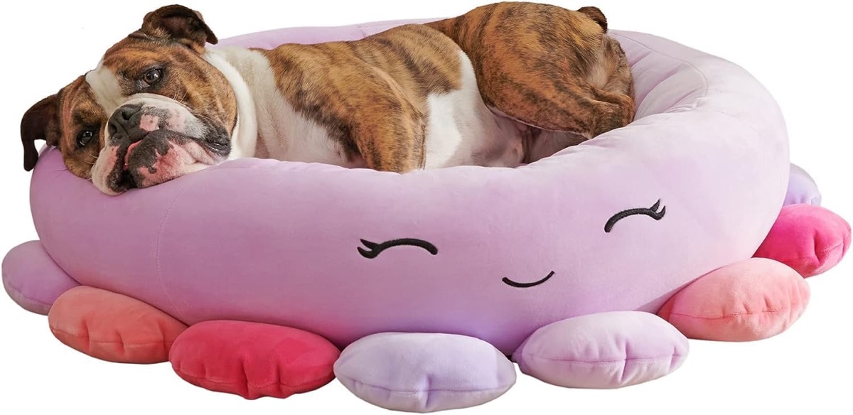 A dog lays on a Beula Octopus Pet Bed