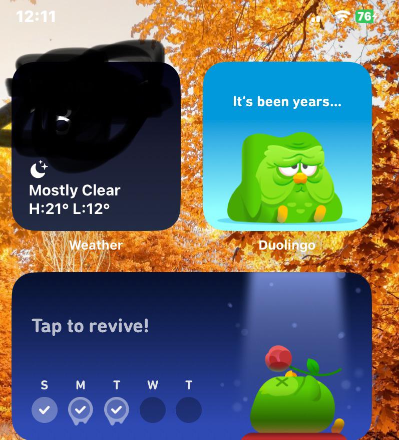 Duolingo looking sad on someone's home screen