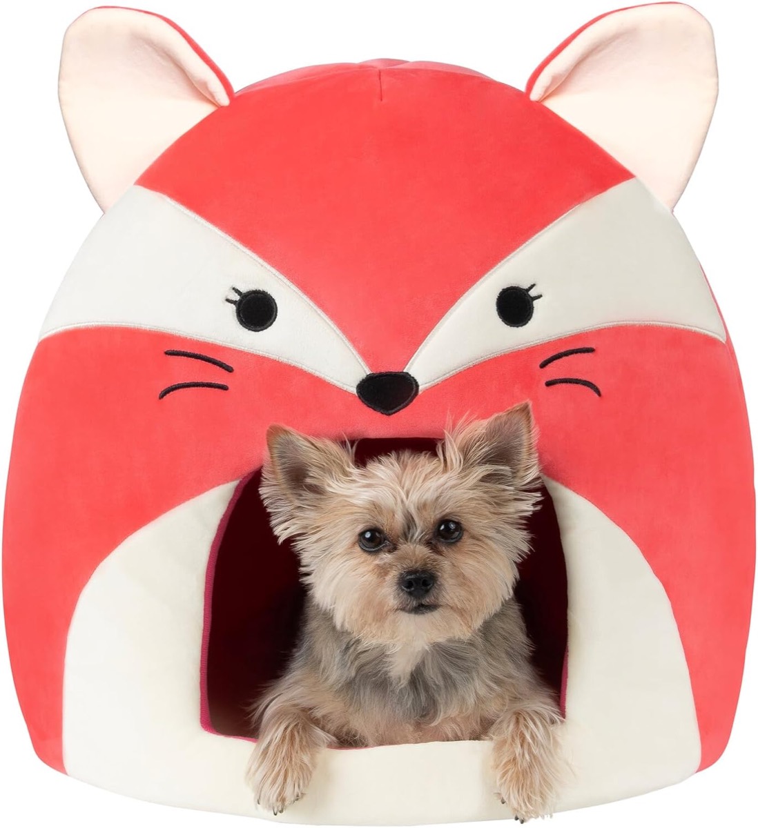 A dog sits in a Fifi Pet Bed