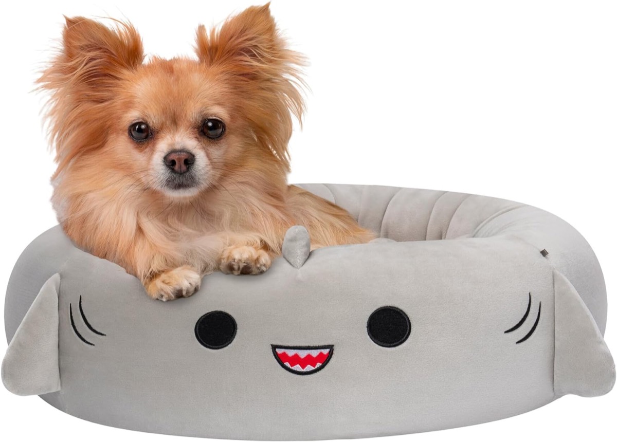 A dog sit on a Gordon Shark Pet Bed