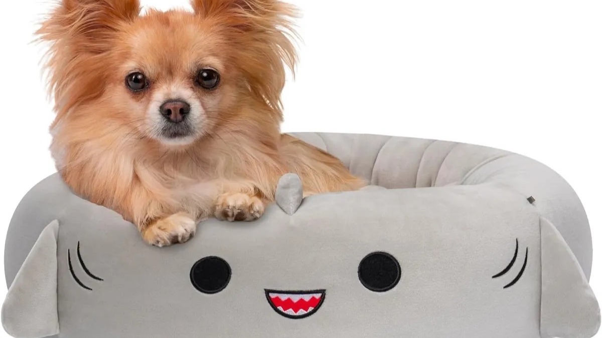 A dog sit on a Gordon Shark Pet Bed