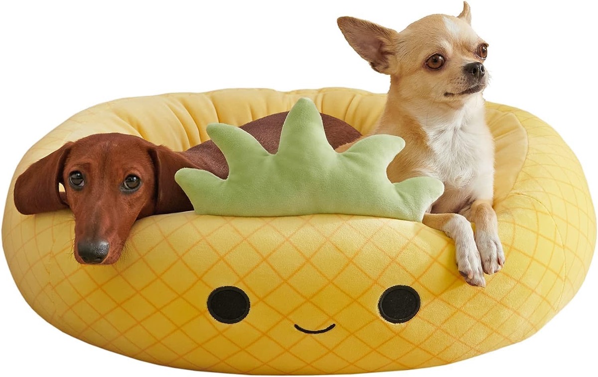 Two dogs sits on a Maui Pineapple Pet Bed