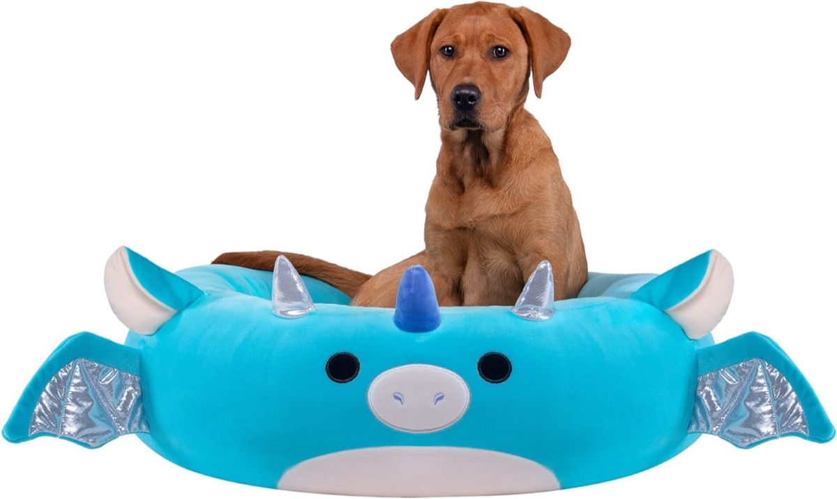 A dog sit on a Tatiana The Dragon Pet Bed