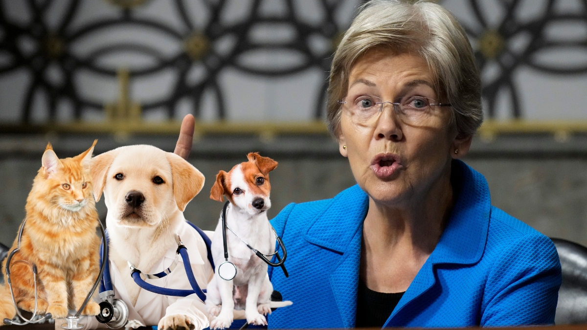 Elizabeth Warren with photos of pets wearing stethescopes overlaid.