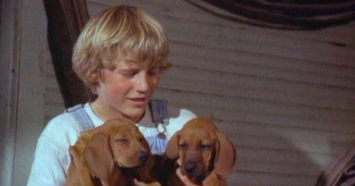 A young boy holds two puppies in "Where the Red Fern Grows"