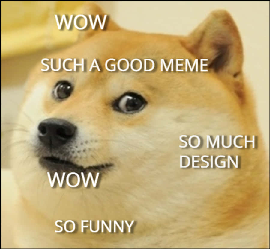 the original doge meme