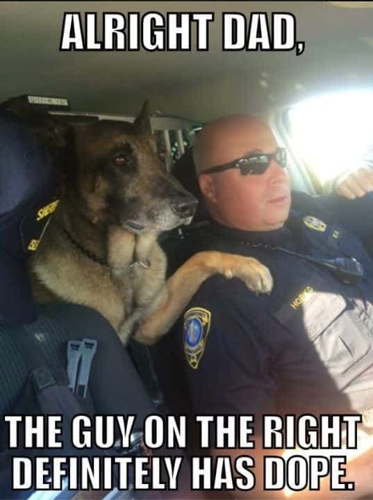 police dog pointing over policeman's shoulder