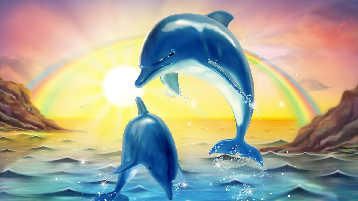 breaching bottlenose dolphins upon dawn sunshine sky with rainbow