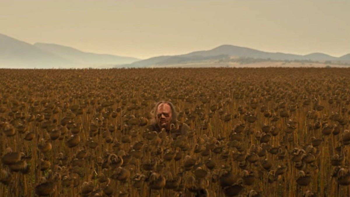 Leatherface hiding in a field of sunflowers in Texas Chainsaw Massacre.