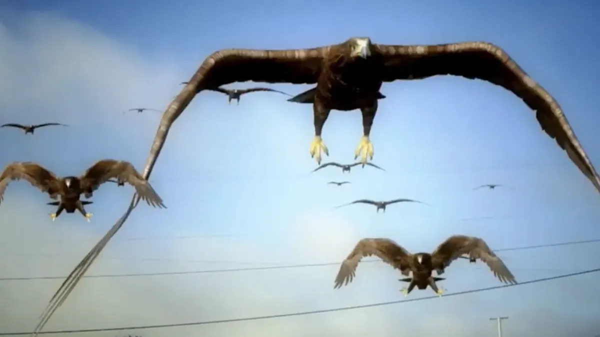 CGI birds fly through the sky in "Birdemic"