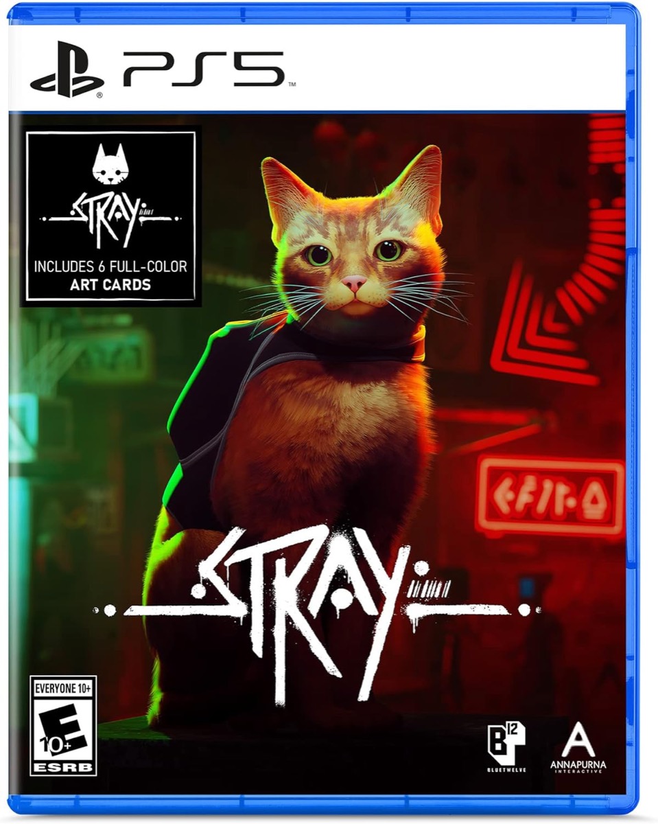 Cover art for "Stray" featuring an orange cat