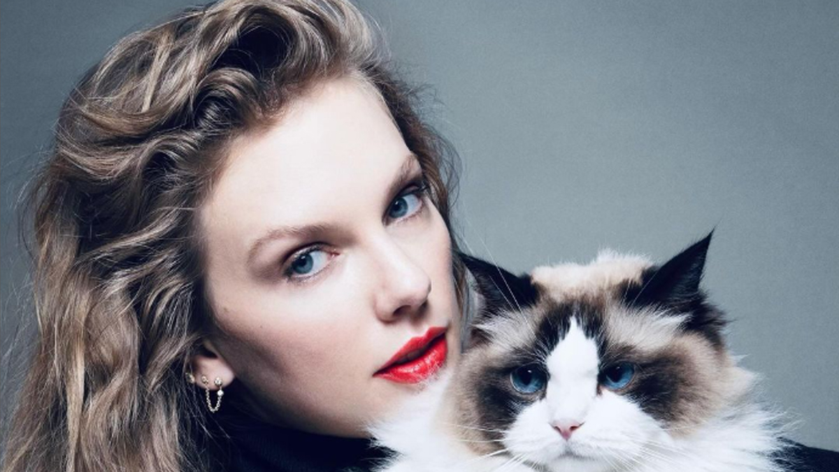 Taylor Swift poses with her cat for an Instagram post.