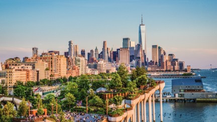 part of new york city from little island