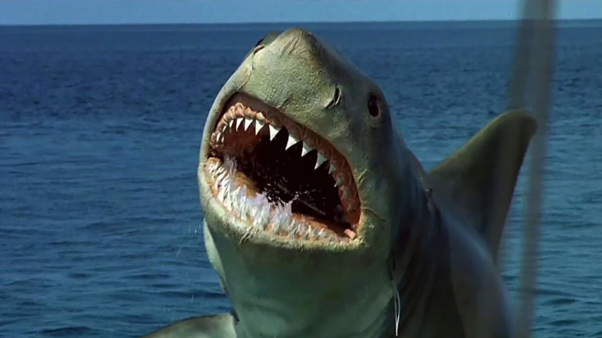 A great white shark jumping out of the water in Jaws: The Revenge.