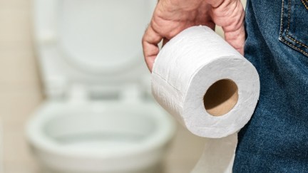 A man's hand holding a roll of toilet paper in front of the terlet.